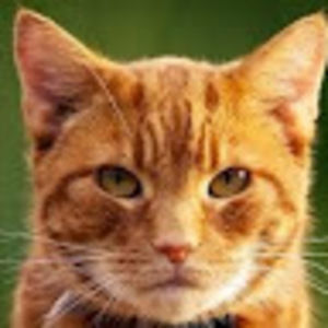 Meet your Posher, Dr.